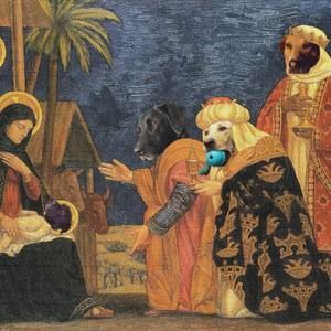 Meet your Posher, Mary